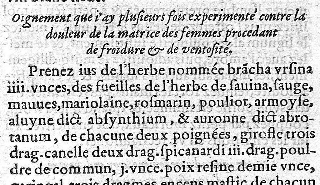 An illustration from Recueil de plusieurs secretz tres utiles, tant pour l’ornement que la santé corps humain, tirez des plus excellens auteurs, tant grecz que latins. Auquel avons adiousté un traicté des destillations... Nouvellement traduict d'Italien en François par S. E. S .X., 1561, leaf 50