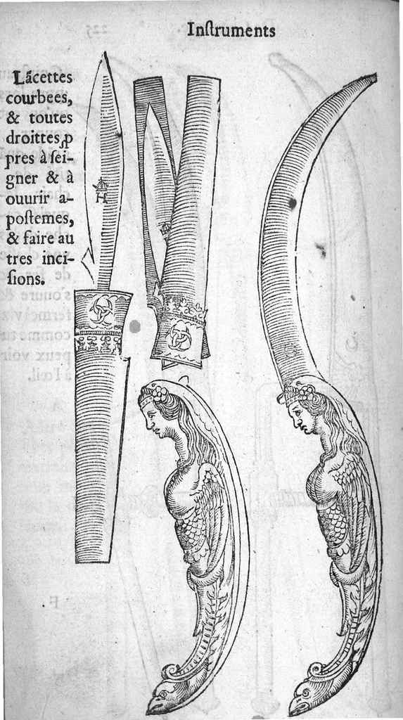 An illustration from Dix livres de la chirurgie avec le Magasin des Instrumens necessaires à icelle. Par Ambroise Paré, premier Chirurgien du Roy et juré à Paris, 1564, leaf 502