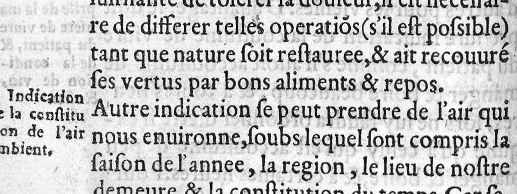 An illustration from Dix livres de la chirurgie avec le Magasin des Instrumens necessaires à icelle. Par Ambroise Paré, premier Chirurgien du Roy et juré à Paris, 1564, leaf 88