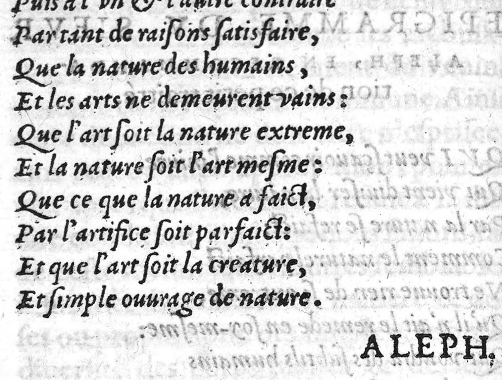 An illustration from Sentence de deux belles questions, sur la curation des Arcbusades & autres playes. Donnee parM. Laurens Joubert,...Dediee au tres heroique & magnanime Prince Henri III...par Maistres Daugaron & Martel ses chirurgiens ordinaires,...L’argument des deux questions est en la page suyvante, 1577, leaf 29