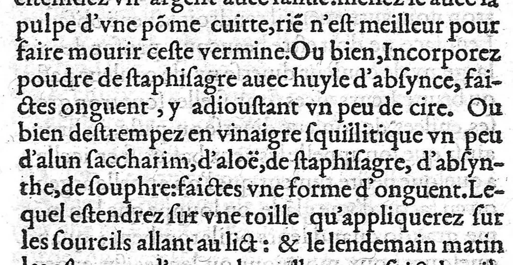 An illustration from Trois Livres de l'embellissement et ornement du corps humain, pris du latin de M. Jean Liebaut... et faict François, 1582, leaf 284