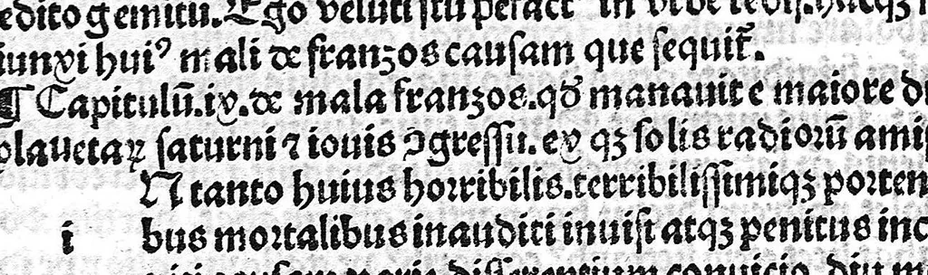 An illustration from Tractatus de pestilentiali scorra sive mala de Frazos... compilatus a... magistro Joseph Grunpeck,... super carmina quedam Sebastiani Brant,..., leaf 17