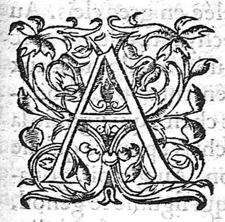 An illustration from Cinq livres de chirurgie. I. Des bandages 2. Des fractures. 3. Des luxations, avec une Apologie touchant les harquebousades. 4. Des morsures et piqueures venimeuses. 5. Des gouttes. Par Ambroise Paré, premier Chirurgien du Roy et juré à Paris,, 1572, leaf 368