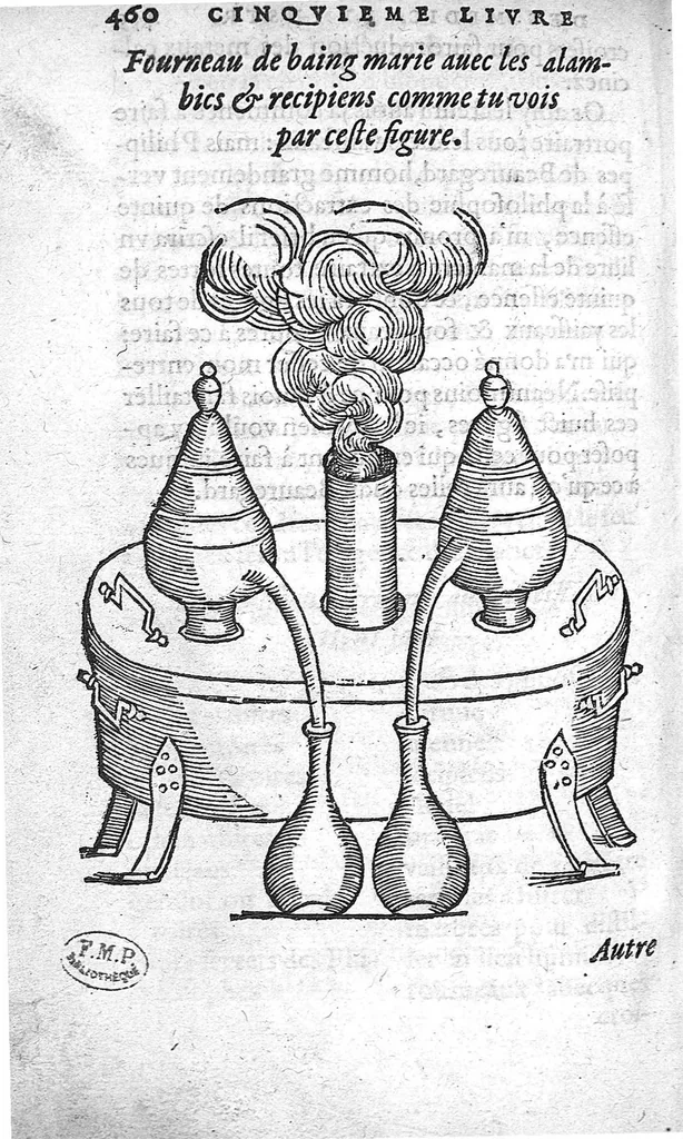 An illustration from Cinq livres de chirurgie. I. Des bandages 2. Des fractures. 3. Des luxations, avec une Apologie touchant les harquebousades. 4. Des morsures et piqueures venimeuses. 5. Des gouttes. Par Ambroise Paré, premier Chirurgien du Roy et juré à Paris,, 1572, leaf 483