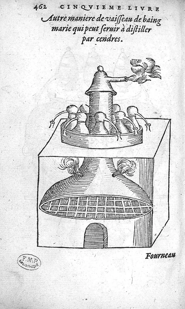 An illustration from Cinq livres de chirurgie. I. Des bandages 2. Des fractures. 3. Des luxations, avec une Apologie touchant les harquebousades. 4. Des morsures et piqueures venimeuses. 5. Des gouttes. Par Ambroise Paré, premier Chirurgien du Roy et juré à Paris,, 1572, leaf 485