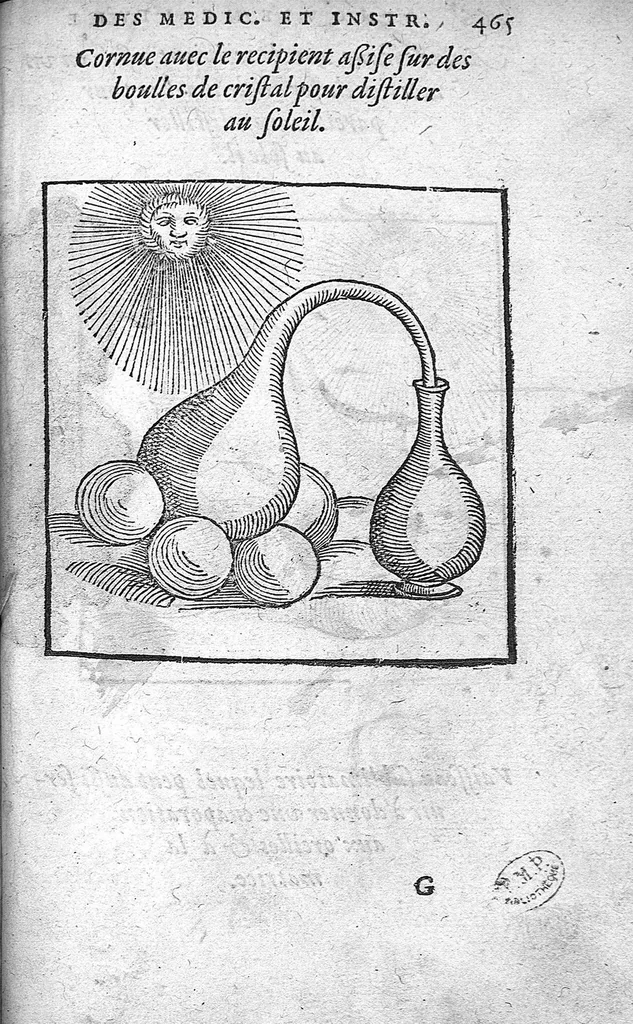 An illustration from Cinq livres de chirurgie. I. Des bandages 2. Des fractures. 3. Des luxations, avec une Apologie touchant les harquebousades. 4. Des morsures et piqueures venimeuses. 5. Des gouttes. Par Ambroise Paré, premier Chirurgien du Roy et juré à Paris,, 1572, leaf 488