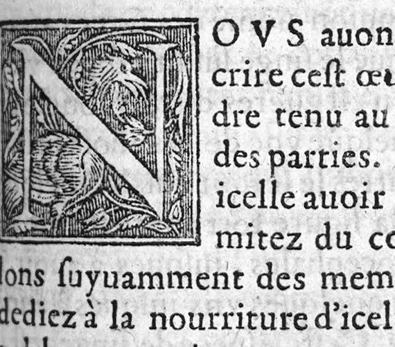 An illustration from Administrations anatomiques de Claude Galien. Traduictes fidelement de Grec en François, par M. Jaques Dalechamps, docteur en Medicine, et lecteur ordinaire de Chirurgie à Lyon. Corrigees en infinis passages avec extreme diligence du traducteur,, 1572, leaf 290