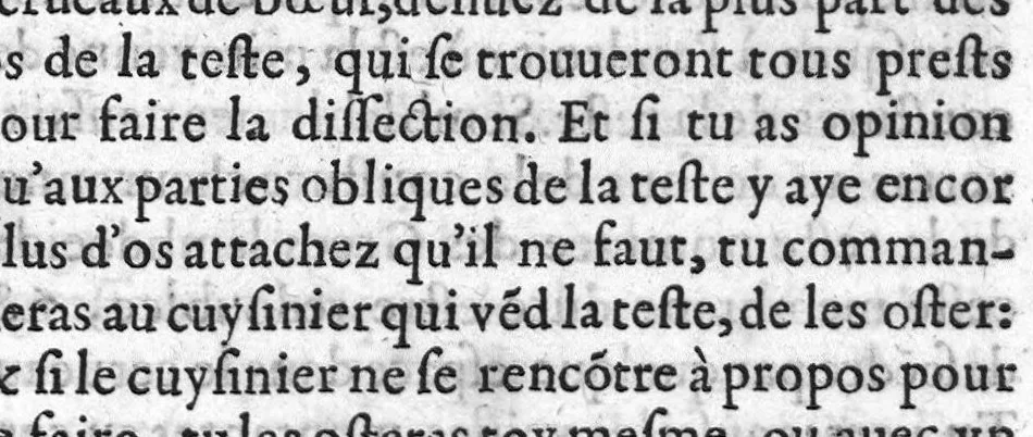 An illustration from Administrations anatomiques de Claude Galien. Traduictes fidelement de Grec en François, par M. Jaques Dalechamps, docteur en Medicine, et lecteur ordinaire de Chirurgie à Lyon. Corrigees en infinis passages avec extreme diligence du traducteur,, 1572, leaf 442