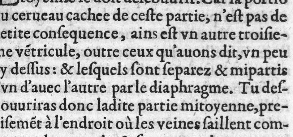 An illustration from Administrations anatomiques de Claude Galien. Traduictes fidelement de Grec en François, par M. Jaques Dalechamps, docteur en Medicine, et lecteur ordinaire de Chirurgie à Lyon. Corrigees en infinis passages avec extreme diligence du traducteur,, 1572, leaf 456