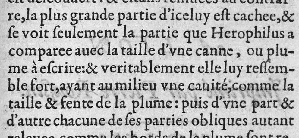 An illustration from Administrations anatomiques de Claude Galien. Traduictes fidelement de Grec en François, par M. Jaques Dalechamps, docteur en Medicine, et lecteur ordinaire de Chirurgie à Lyon. Corrigees en infinis passages avec extreme diligence du traducteur,, 1572, leaf 462