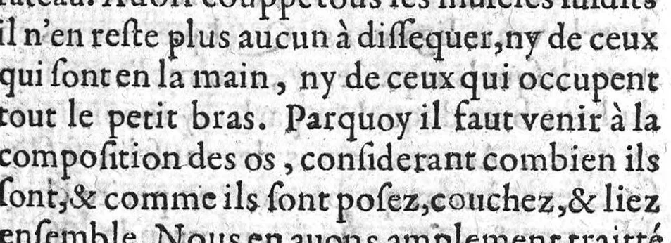 An illustration from Administrations anatomiques de Claude Galien. Traduictes fidelement de Grec en François, par M. Jaques Dalechamps, docteur en Medicine, et lecteur ordinaire de Chirurgie à Lyon. Corrigees en infinis passages avec extreme diligence du traducteur,, 1572, leaf 60