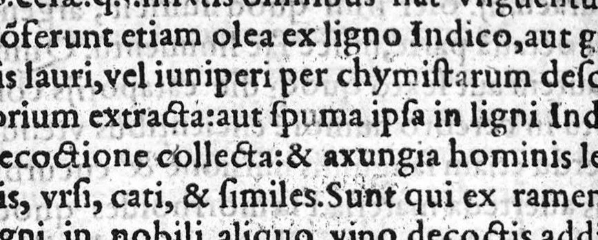 An illustration from ...De pudendagra sue hispanica libri duo. extraicts desdits livres en francoys pour les chirurgiens, 1553, leaf 78