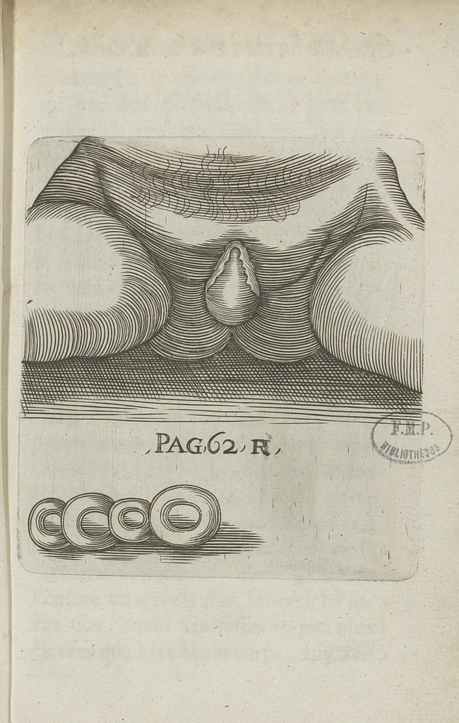 An illustration from Le chemin frayé et infaillible aux accouchemens, qui servira de flambeau aux sages-femmes, pour les éclairer en leurs operations, cachées dans les plus obscures cavernes de la matrice. Le tout enrichi de diverses figures..., 1689, leaf 104