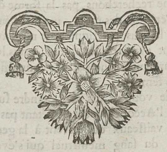 An illustration from Le chemin frayé et infaillible aux accouchemens, qui servira de flambeau aux sages-femmes, pour les éclairer en leurs operations, cachées dans les plus obscures cavernes de la matrice. Le tout enrichi de diverses figures..., 1689, leaf 13
