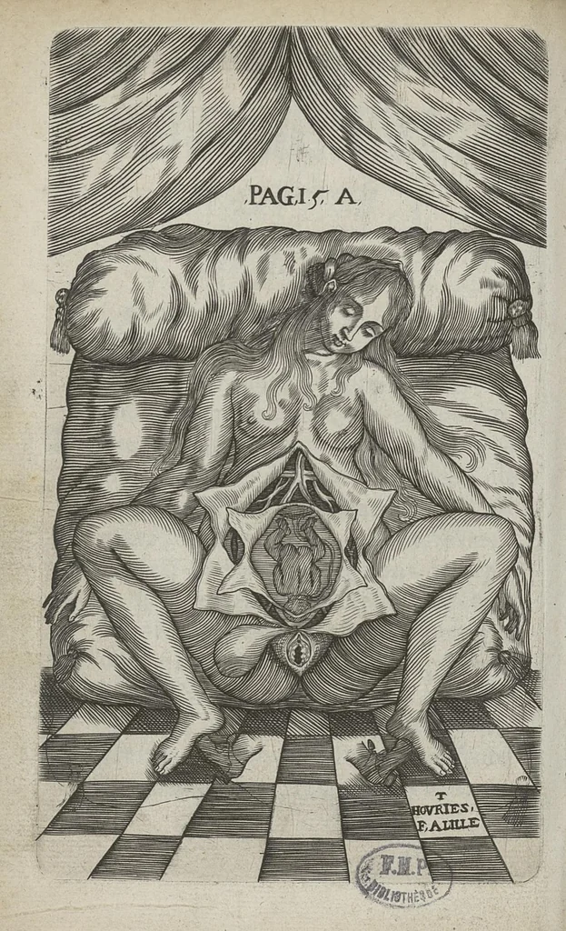 An illustration from Le chemin frayé et infaillible aux accouchemens, qui servira de flambeau aux sages-femmes, pour les éclairer en leurs operations, cachées dans les plus obscures cavernes de la matrice. Le tout enrichi de diverses figures..., 1689, leaf 31