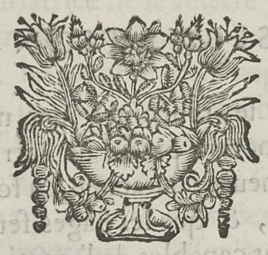 An illustration from Le chemin frayé et infaillible aux accouchemens, qui servira de flambeau aux sages-femmes, pour les éclairer en leurs operations, cachées dans les plus obscures cavernes de la matrice. Le tout enrichi de diverses figures..., 1689, leaf 45