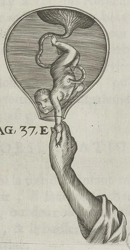 An illustration from Le chemin frayé et infaillible aux accouchemens, qui servira de flambeau aux sages-femmes, pour les éclairer en leurs operations, cachées dans les plus obscures cavernes de la matrice. Le tout enrichi de diverses figures..., 1689, leaf 61