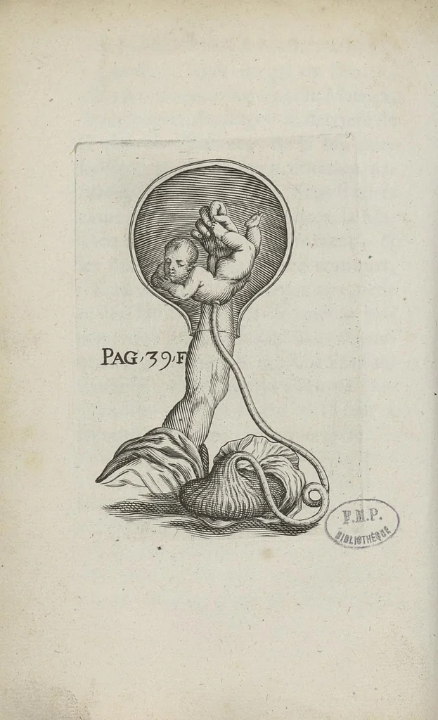An illustration from Le chemin frayé et infaillible aux accouchemens, qui servira de flambeau aux sages-femmes, pour les éclairer en leurs operations, cachées dans les plus obscures cavernes de la matrice. Le tout enrichi de diverses figures..., 1689, leaf 65