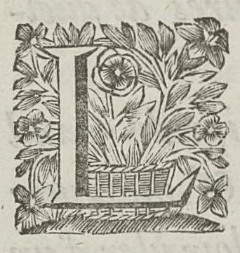 An illustration from Le chemin frayé et infaillible aux accouchemens, qui servira de flambeau aux sages-femmes, pour les éclairer en leurs operations, cachées dans les plus obscures cavernes de la matrice. Le tout enrichi de diverses figures..., 1689, leaf 8