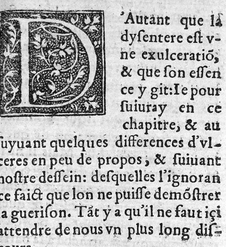 An illustration from Traicté de la dysenterie, et cure d’icelle, divisé en deux parties : l’une contenant la maladie, Causes, et Symptomes d’icelle : l’autre la Curation. Composé par Guillaume Souviros, Docteur en la faculté de Medecine de Montpellier, et Medecin en Tolose,, 1574, leaf 102