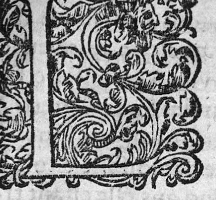 An illustration from Traicté de la dysenterie, et cure d’icelle, divisé en deux parties : l’une contenant la maladie, Causes, et Symptomes d’icelle : l’autre la Curation. Composé par Guillaume Souviros, Docteur en la faculté de Medecine de Montpellier, et Medecin en Tolose,, 1574, leaf 106
