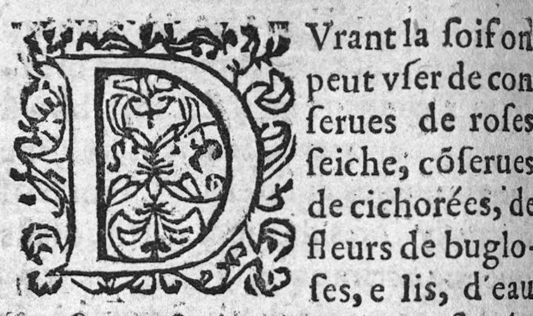 An illustration from Traicté de la dysenterie, et cure d’icelle, divisé en deux parties : l’une contenant la maladie, Causes, et Symptomes d’icelle : l’autre la Curation. Composé par Guillaume Souviros, Docteur en la faculté de Medecine de Montpellier, et Medecin en Tolose,, 1574, leaf 139