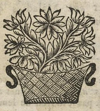 An illustration from Le medecin charitable abbregé pour guerir toutes sortes de maladies avec peu de remedes...seconde edition, 1668, leaf 52
