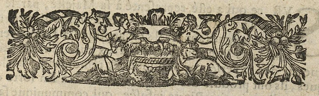 An illustration from Les remedes souverains et incomparables, heureusement decouverts..., 1670, leaf 0