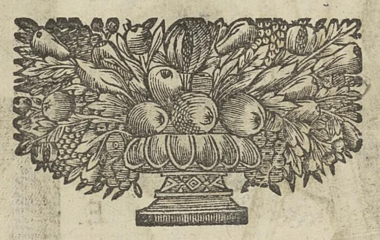 An illustration from Lettre de Monsieur Helvetius...sur la nature et la guerison du cancer, 1691, leaf 14