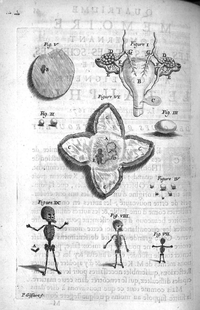 An illustration from Mémoires concernant les arts et les sciences présentés à Monseigneur le Dauphin, 1672, leaf 51
