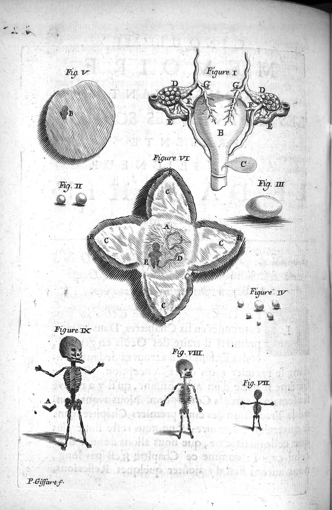 An illustration from Mémoires concernant les arts et les sciences présentés à Monseigneur le Dauphin, 1672, leaf 63