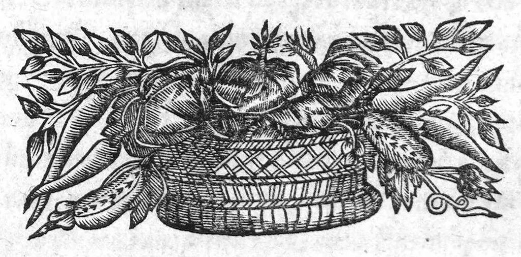 An illustration from De nova curandorum morborum ratione per transfusionem sanguinis, dissertatio, ad amicum, 1667, leaf 0