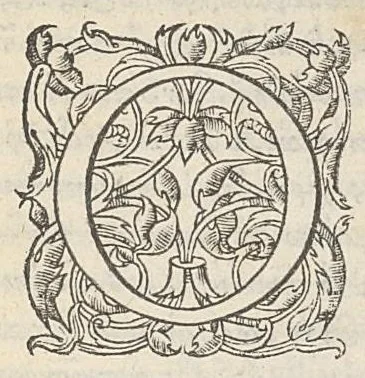 An illustration from Theophilou peri tes tou anthropou kataskeues. Theophili de hominis fabrica, lib. V. Ex Bibliotheca Regia, 1555, leaf 2