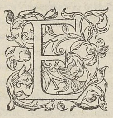 An illustration from Theophilou peri tes tou anthropou kataskeues. Theophili de hominis fabrica, lib. V. Ex Bibliotheca Regia, 1555, leaf 21