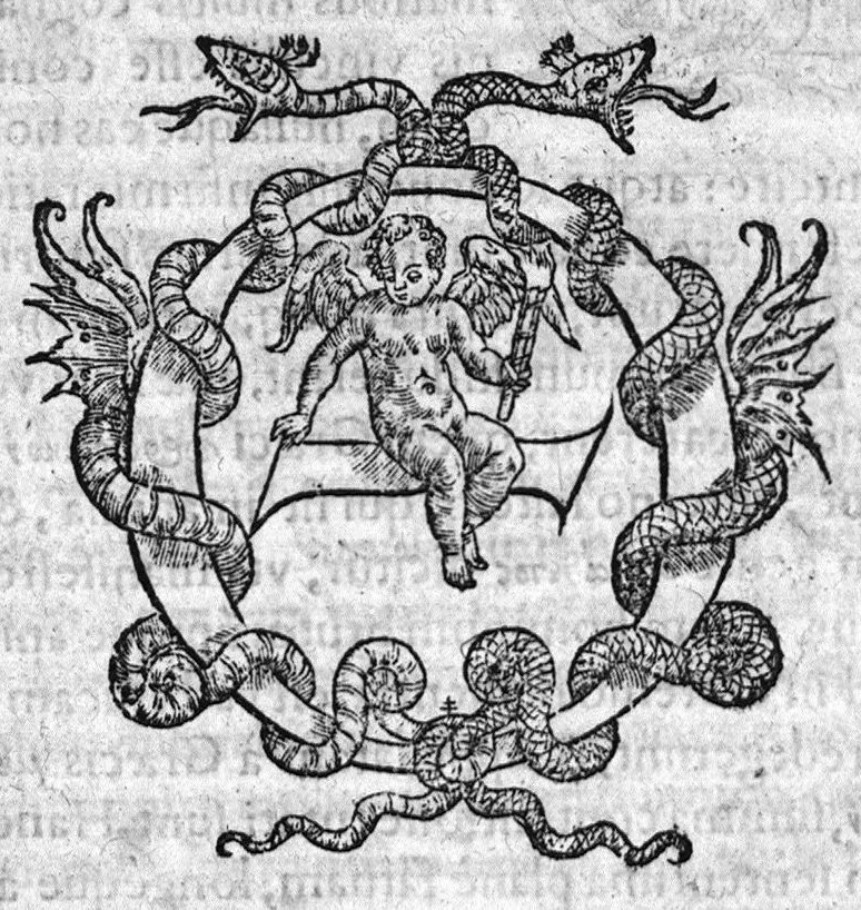An illustration from Theophili Protospatarii de Corporis humani fabrica, Libri V, Iunio Paulo Crasso Patavino interprete. Ex Sorano de Vulva et pudendo muliebri, Ioan. Baptista Rasario interprete, 1556, leaf 0