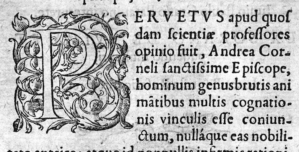 An illustration from Theophili Protospatarii de Corporis humani fabrica, Libri V, Iunio Paulo Crasso Patavino interprete. Ex Sorano de Vulva et pudendo muliebri, Ioan. Baptista Rasario interprete, 1556, leaf 1