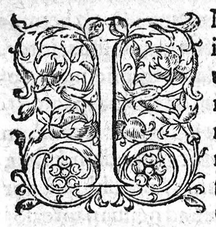 An illustration from Theophili Protospatarii de Corporis humani fabrica, Libri V, Iunio Paulo Crasso Patavino interprete. Ex Sorano de Vulva et pudendo muliebri, Ioan. Baptista Rasario interprete, 1556, leaf 31
