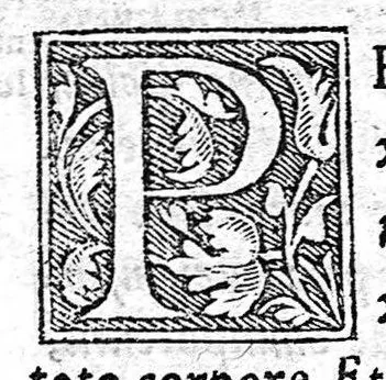 An illustration from [Opusculum recens natum de morbis puerorum...], 1538, leaf 117