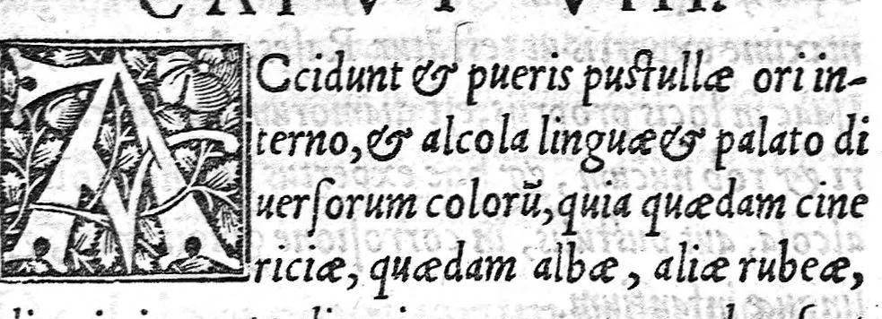 An illustration from [Opusculum recens natum de morbis puerorum...], 1538, leaf 56