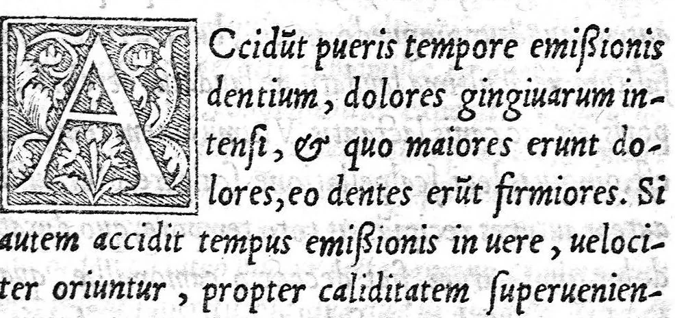 An illustration from [Opusculum recens natum de morbis puerorum...], 1538, leaf 58