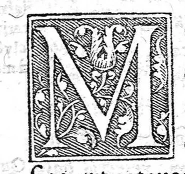 An illustration from [Opusculum recens natum de morbis puerorum...], 1538, leaf 79