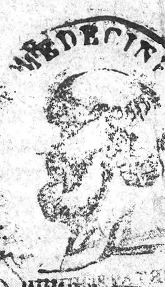 An illustration from L’admirable vertu et accomplissement des facultez, pour la santé et conservation du corps humain, de la racine nouvelle de l’Inde de Mechioacan, proprement nommee Rhaindice. Escrite premierement en Latin, par Marcel Donat Mantuan, docte medecin, et depuis par le commandement de Monseigneur de Mandelot Lieutenant general pour le Roy en Lyonnois et Beaujollois, mise en langue Françoise, 1572, leaf 0