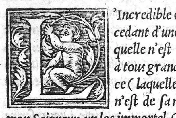 An illustration from L’admirable vertu et accomplissement des facultez, pour la santé et conservation du corps humain, de la racine nouvelle de l’Inde de Mechioacan, proprement nommee Rhaindice. Escrite premierement en Latin, par Marcel Donat Mantuan, docte medecin, et depuis par le commandement de Monseigneur de Mandelot Lieutenant general pour le Roy en Lyonnois et Beaujollois, mise en langue Françoise, 1572, leaf 2