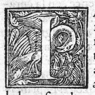 An illustration from L’admirable vertu et accomplissement des facultez, pour la santé et conservation du corps humain, de la racine nouvelle de l’Inde de Mechioacan, proprement nommee Rhaindice. Escrite premierement en Latin, par Marcel Donat Mantuan, docte medecin, et depuis par le commandement de Monseigneur de Mandelot Lieutenant general pour le Roy en Lyonnois et Beaujollois, mise en langue Françoise, 1572, leaf 6