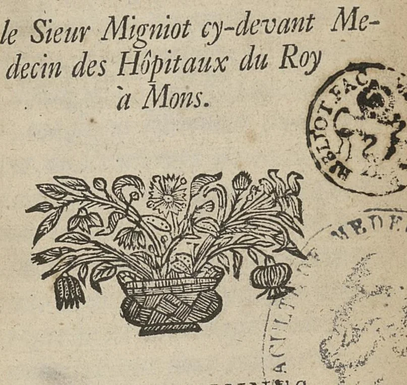 An illustration from Traitte des eaux minerales de S. Amand..., 1699, leaf 0