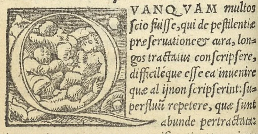 An illustration from Epistolae medicinales in quibus multa recentiorum errata, & antiquorum decreta referantur, 1528, leaf 145