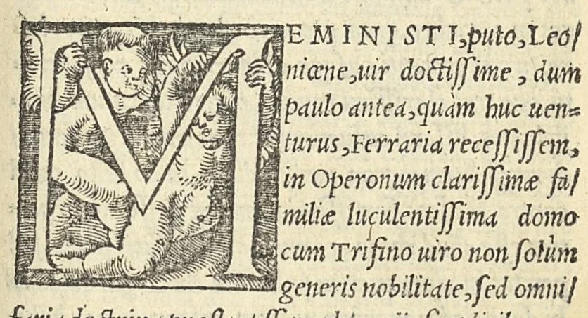 An illustration from Epistolae medicinales in quibus multa recentiorum errata, & antiquorum decreta referantur, 1528, leaf 162