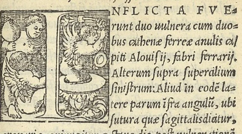 An illustration from Epistolae medicinales in quibus multa recentiorum errata, & antiquorum decreta referantur, 1528, leaf 166