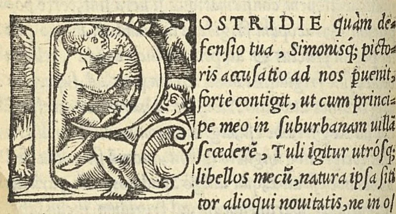 An illustration from Epistolae medicinales in quibus multa recentiorum errata, & antiquorum decreta referantur, 1528, leaf 29