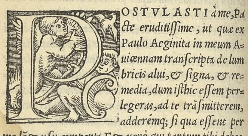 An illustration from Epistolae medicinales in quibus multa recentiorum errata, & antiquorum decreta referantur, 1528, leaf 61